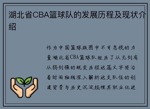 湖北省CBA篮球队的发展历程及现状介绍